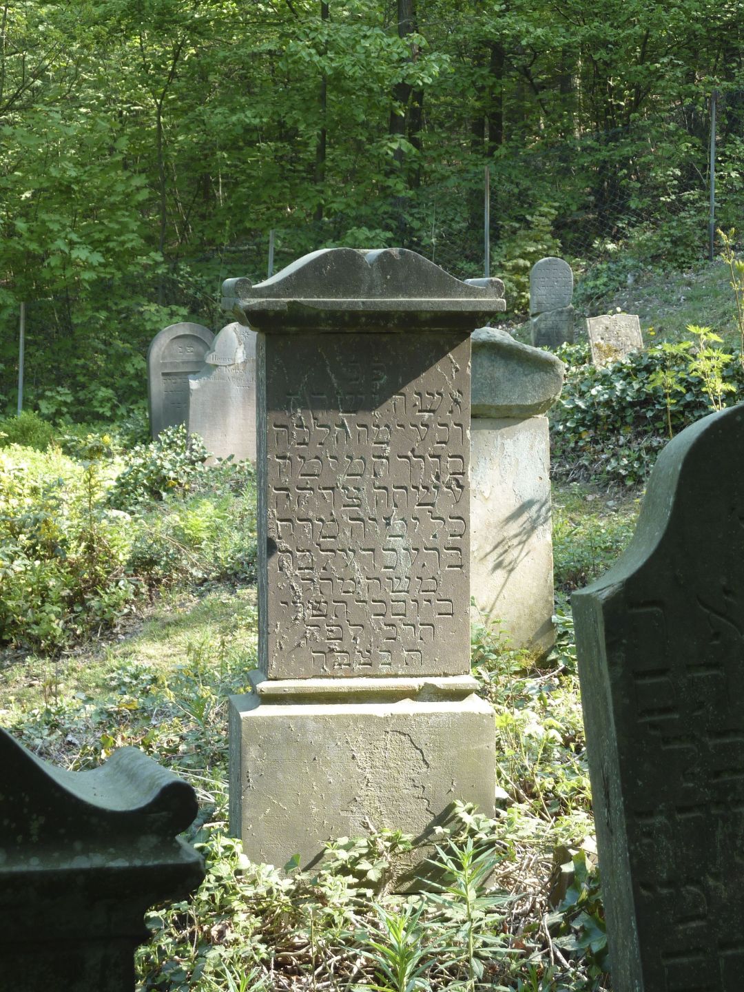 Grabsteine auf dem j&uuml;dischen Friedhof auf dem Lindenberg, Teil des Lindenbergfriedhofs